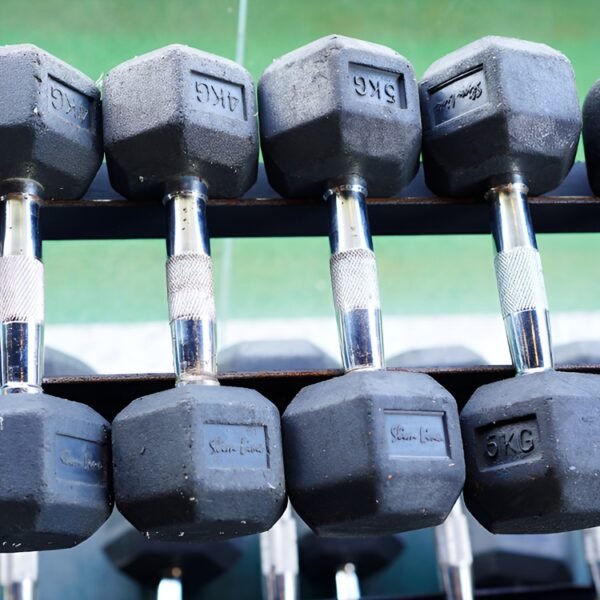 STYX RUBBER HEX DUMBELLS (SINGLES)